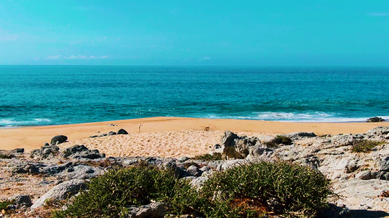 Wide coastal view at Buzzards Beach in Punta Buzzards, Mexico, with sparse green plants among foreground rocks, sand behind them, blue ocean, and no visible people.