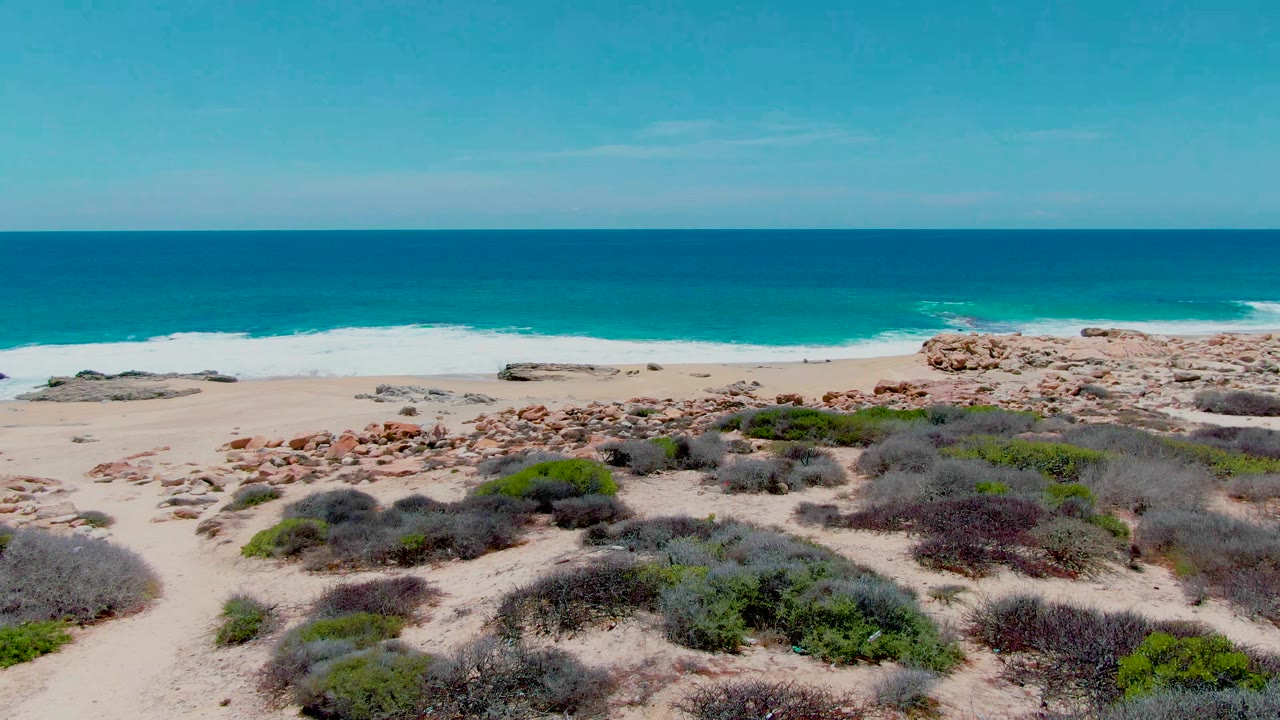 Aerial frame over Buzzards Beach in Baja California Sur with low scrub in the foreground, scattered rocks on pale sand, turquoise surf, blue ocean, clear sky, and no visible people.