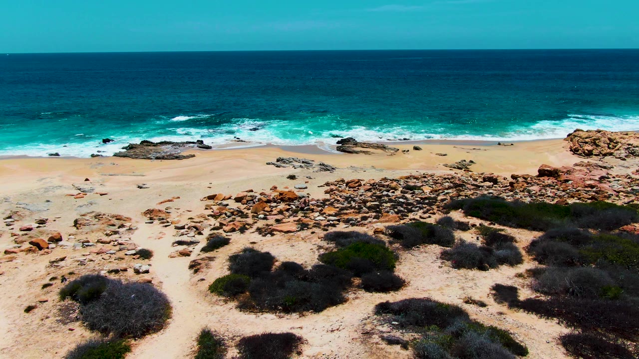 Mid-clip aerial view of Punta Buzzards with desert shrubs in the lower frame, a rocky sandy beach in the middle, blue-green surf beyond, and no visible people.
