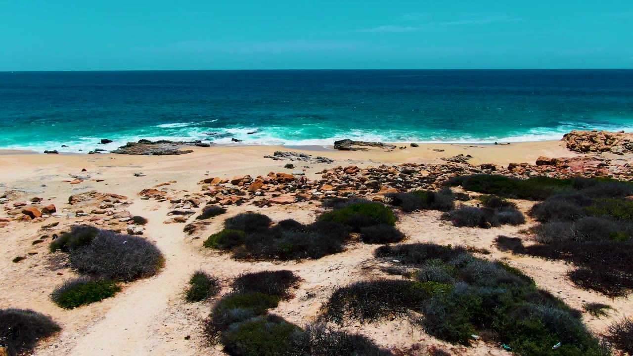 Elevated view of Buzzards Beach in Baja California Sur, Mexico, with sandy dune scrub, scattered rocks, turquoise ocean, white surf, clear sky, and no visible people.