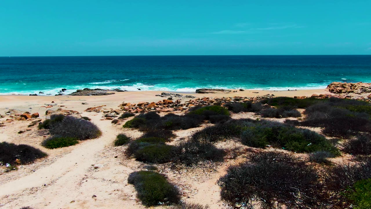 Wide coastal view at Buzzards Beach with dark dune vegetation across pale sand, rocky patches near the shore, turquoise water bands, white wave foam, and no visible people.
