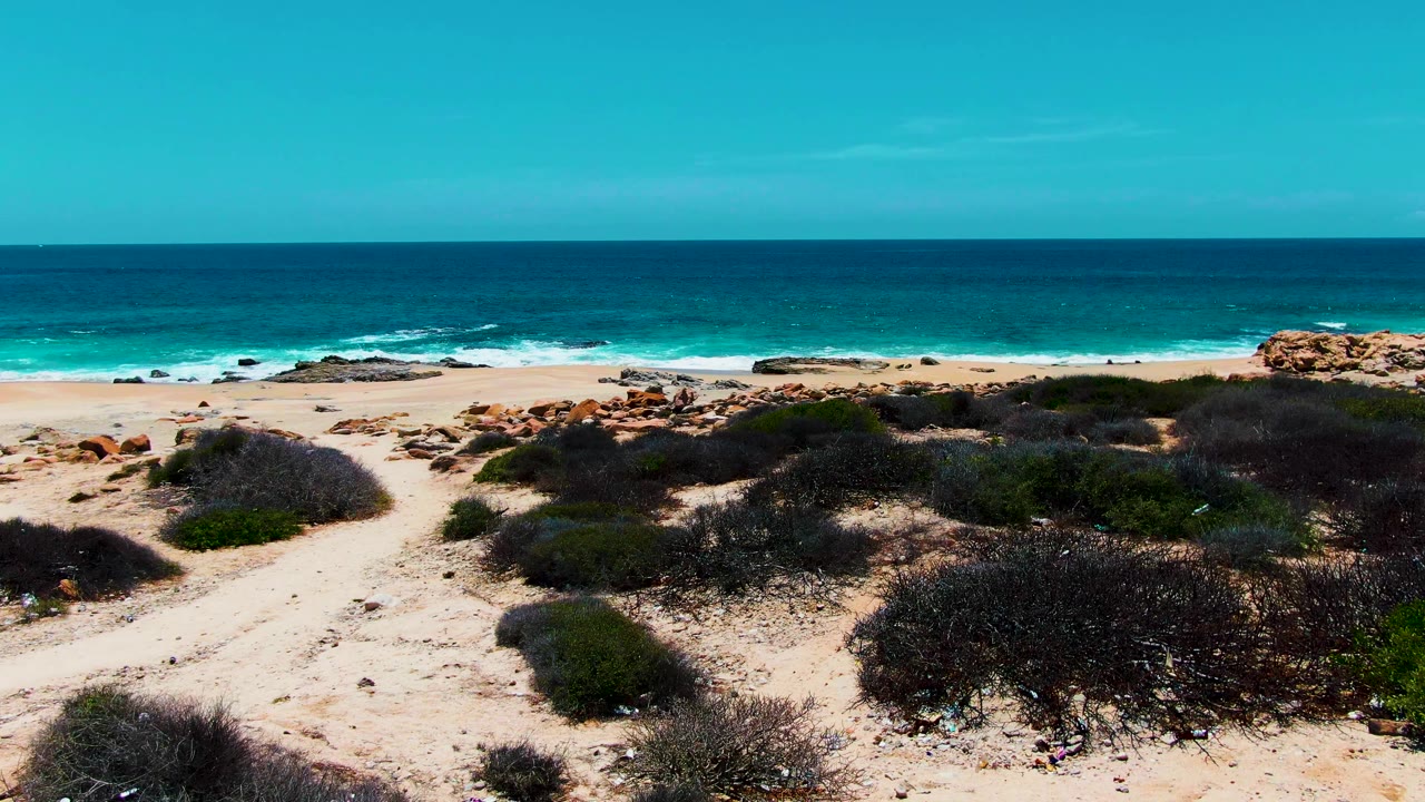 Dune bushes and sandy beach with turquoise ocean and rocks in the distance.
