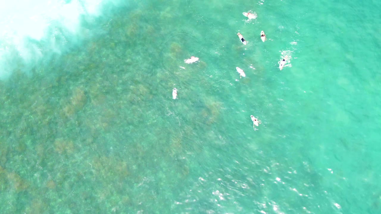 Top-down aerial frame at Punta Buzzards, Baja California Sur showing several swimmers spread across clear turquoise water with mottled seabed visible below.