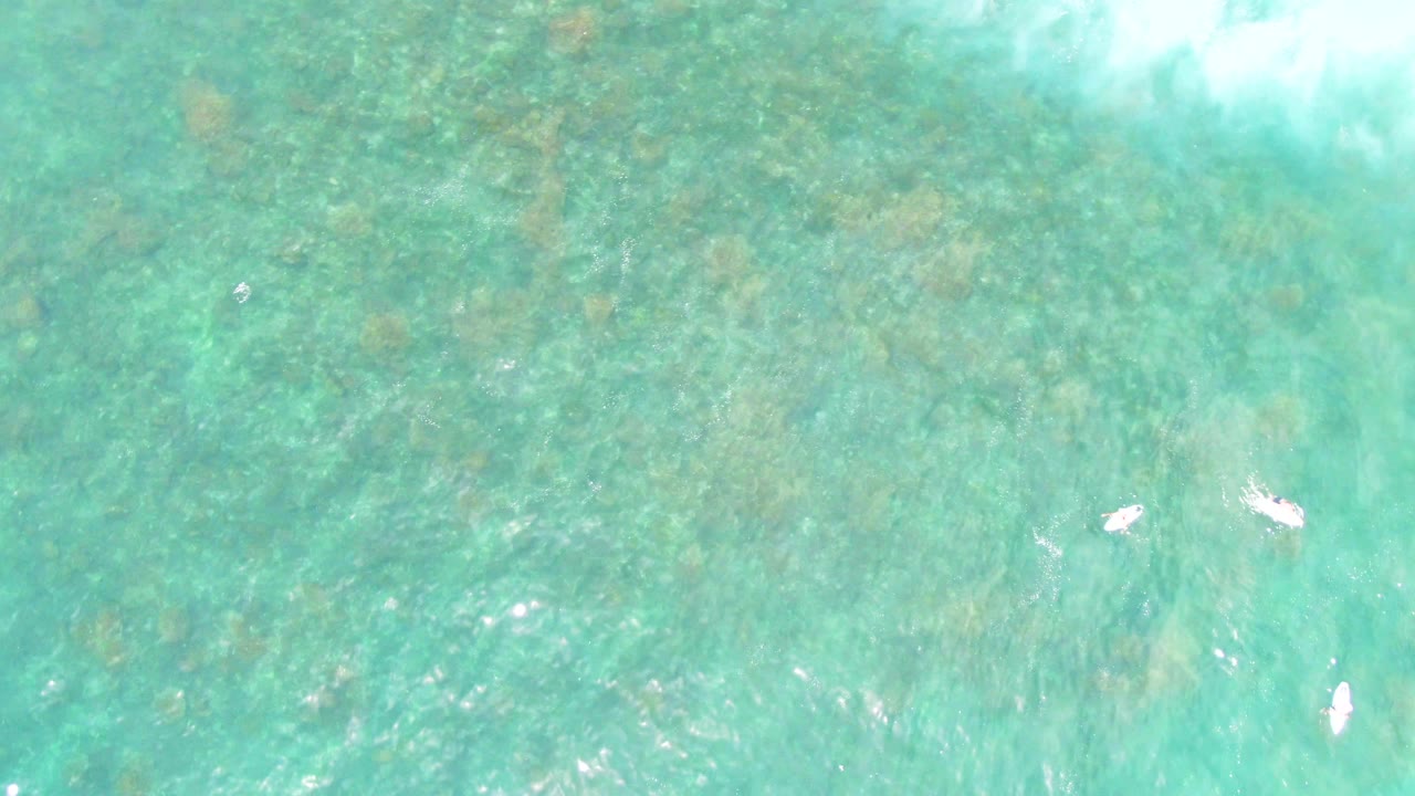 Small swimmers scattered across turquoise water with reef texture below.