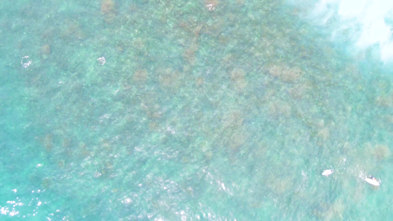 Top-down frame at Punta Buzzards where swimmers appear smaller and more dispersed over transparent blue-green water and mottled seabed.
