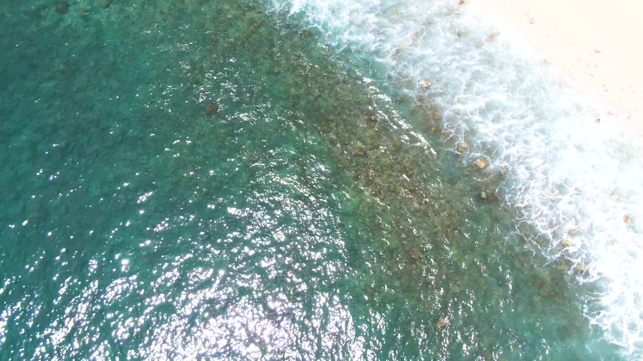 Shallow ocean beside a bright foamy shoreline edge.