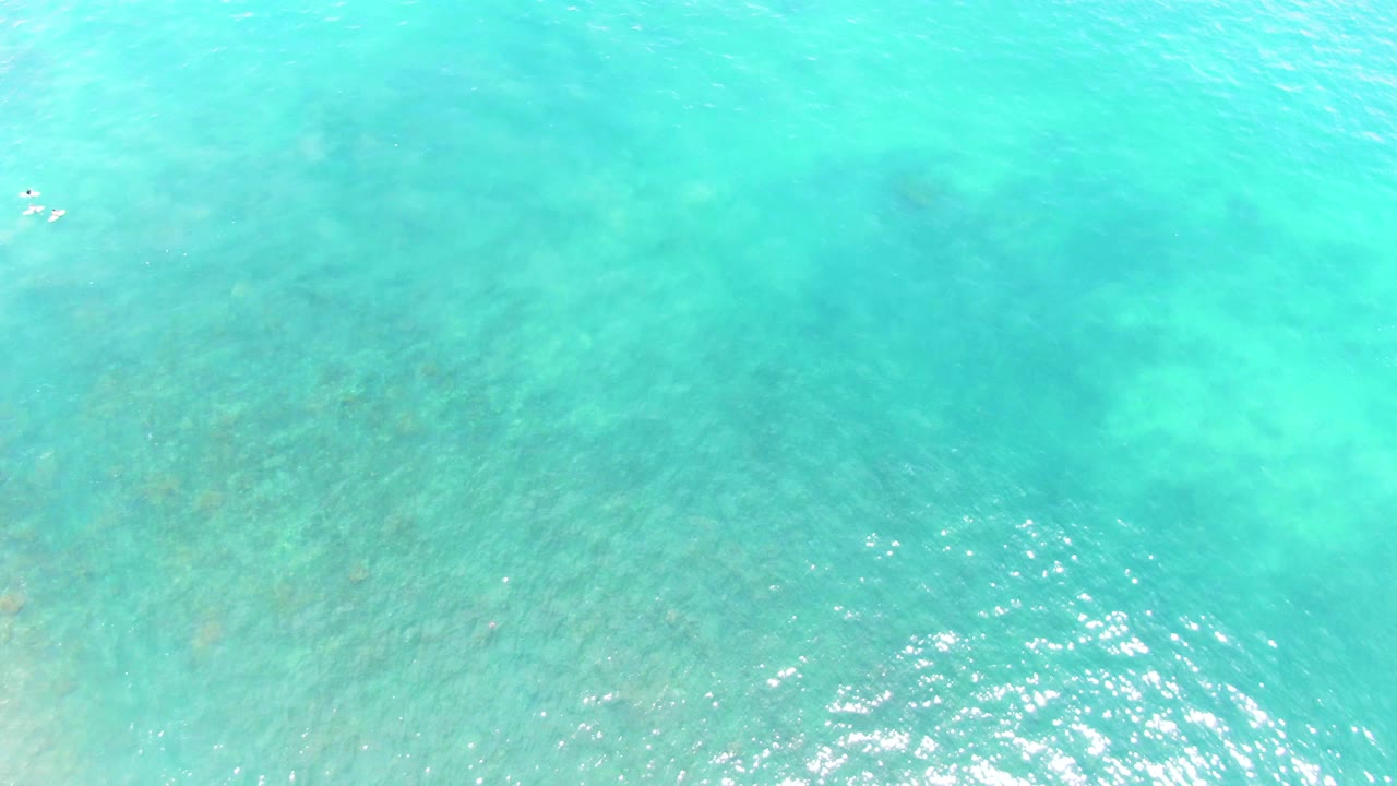 Turquoise ocean surface with pale seabed texture and small distant swimmers.