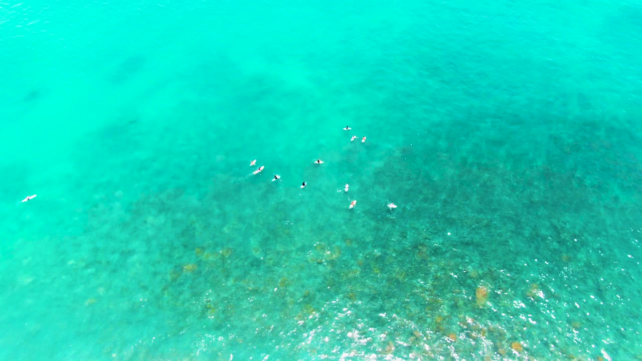 Aerial frame at Punta Buzzards showing seabirds spread over bright turquoise water, with a broad darker seabed area below and no visible people.