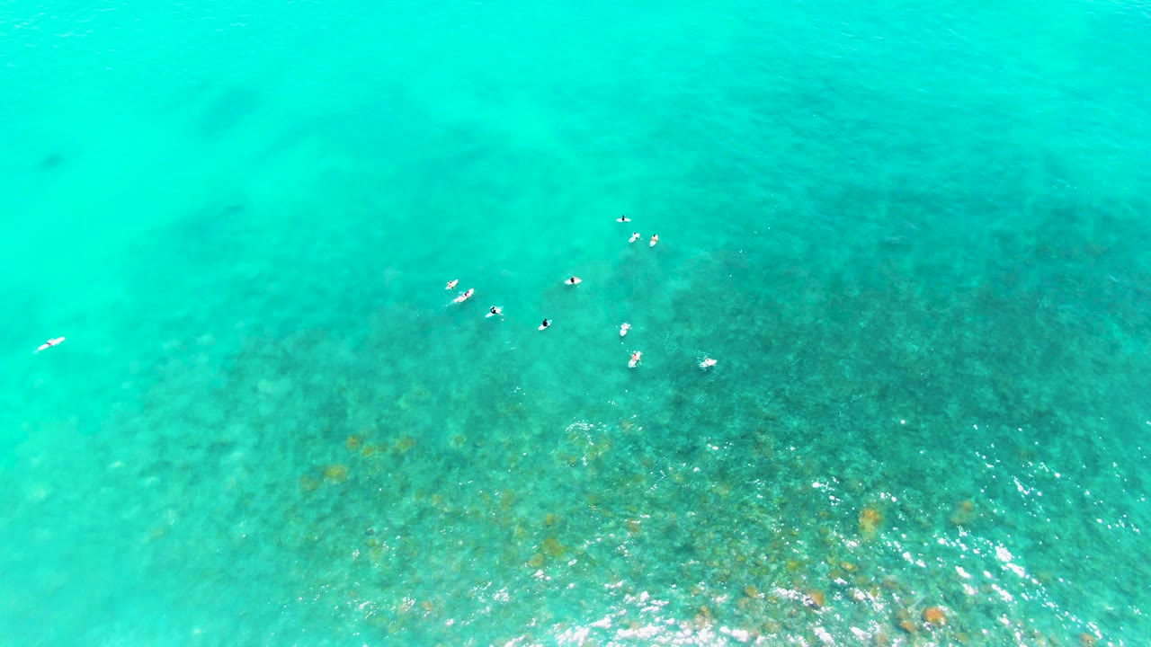 Overhead Punta Buzzards frame with small seabirds floating near the upper center, transparent turquoise water, darker seabed texture, and no visible people.