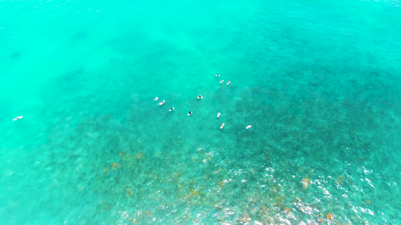 Aerial view at Punta Buzzards with seabirds scattered over shallow turquoise ocean, a pale water area at left, darker seabed at right, and no visible people.