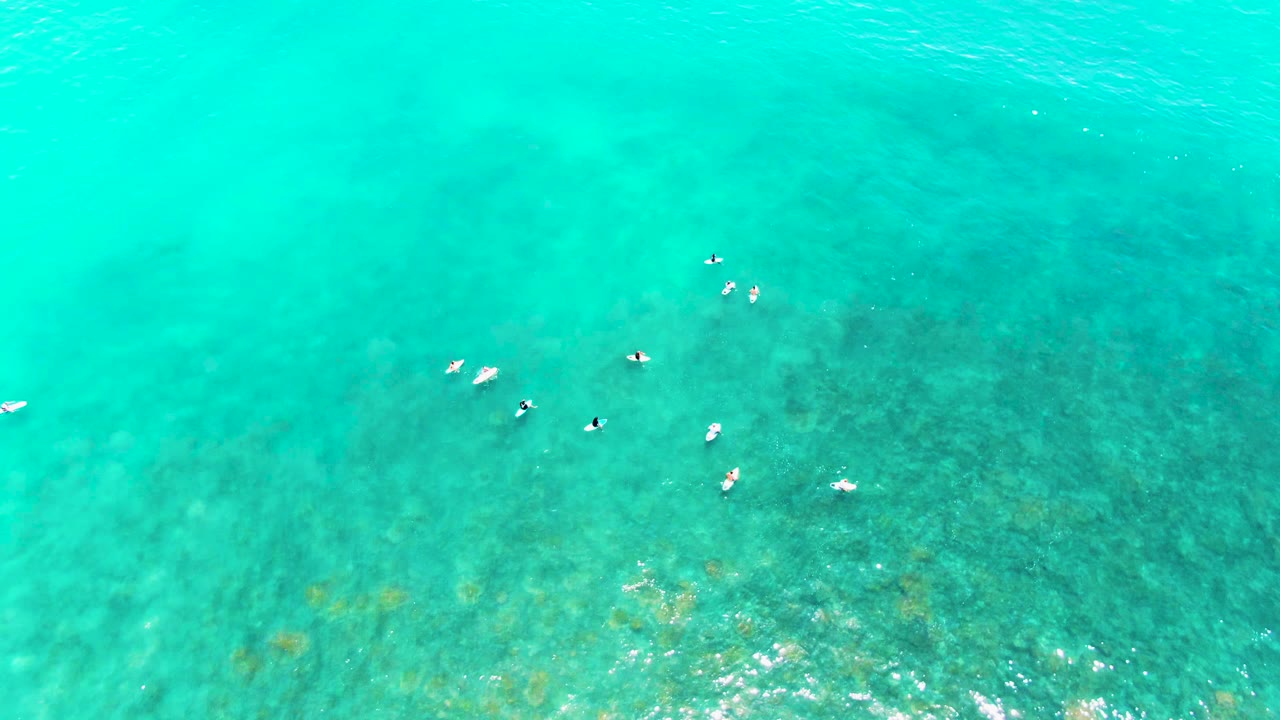 Overhead frame from Punta Buzzards showing scattered swimmers as small figures in clear turquoise water, with darker seabed patches visible below the surface.