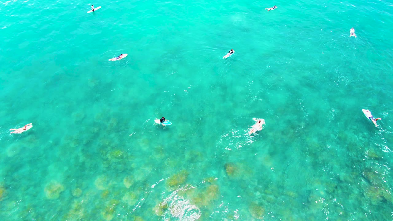 Small swimmers float above visible seabed in clear water.
