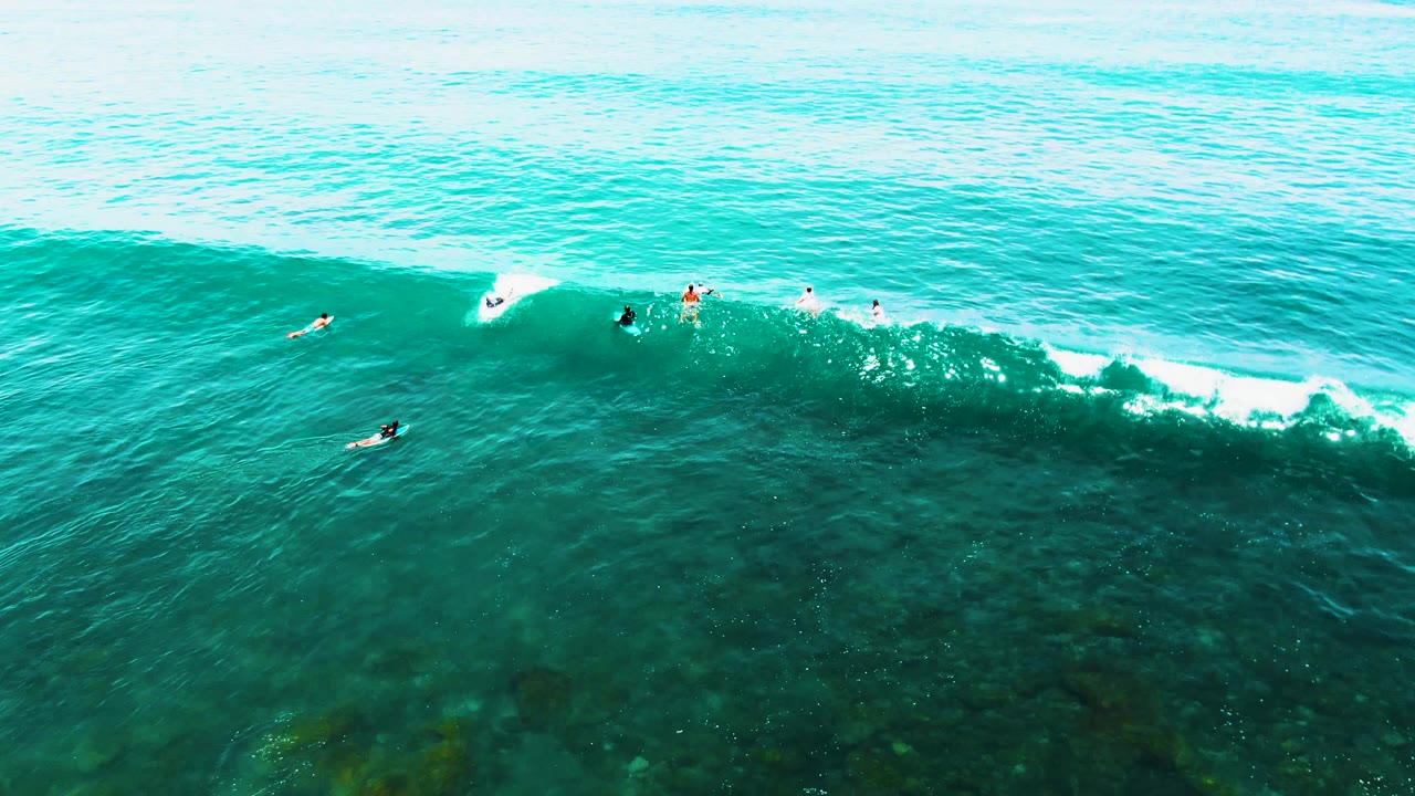 Overhead aerial view at Punta Buzzards with a broad green-blue wave face crossing the frame and distant surfers positioned along the forming break.