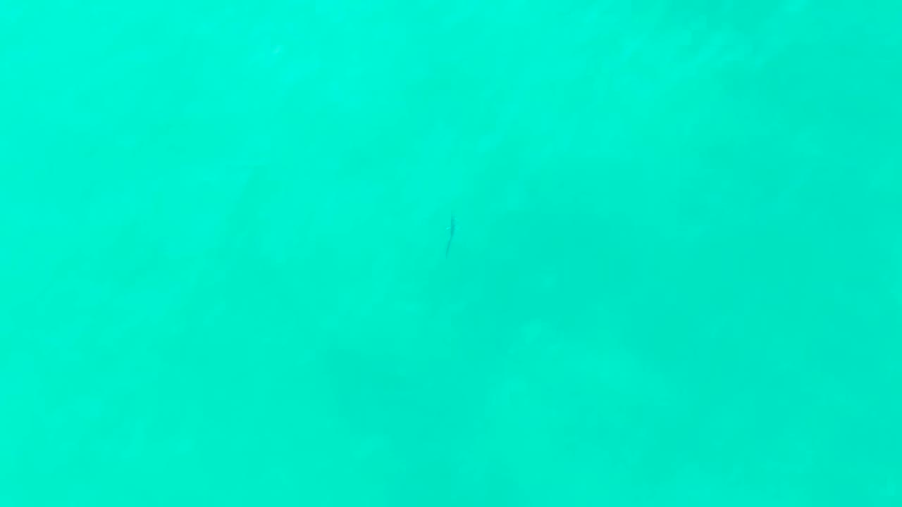 Turquoise underwater view with faint small fish shapes