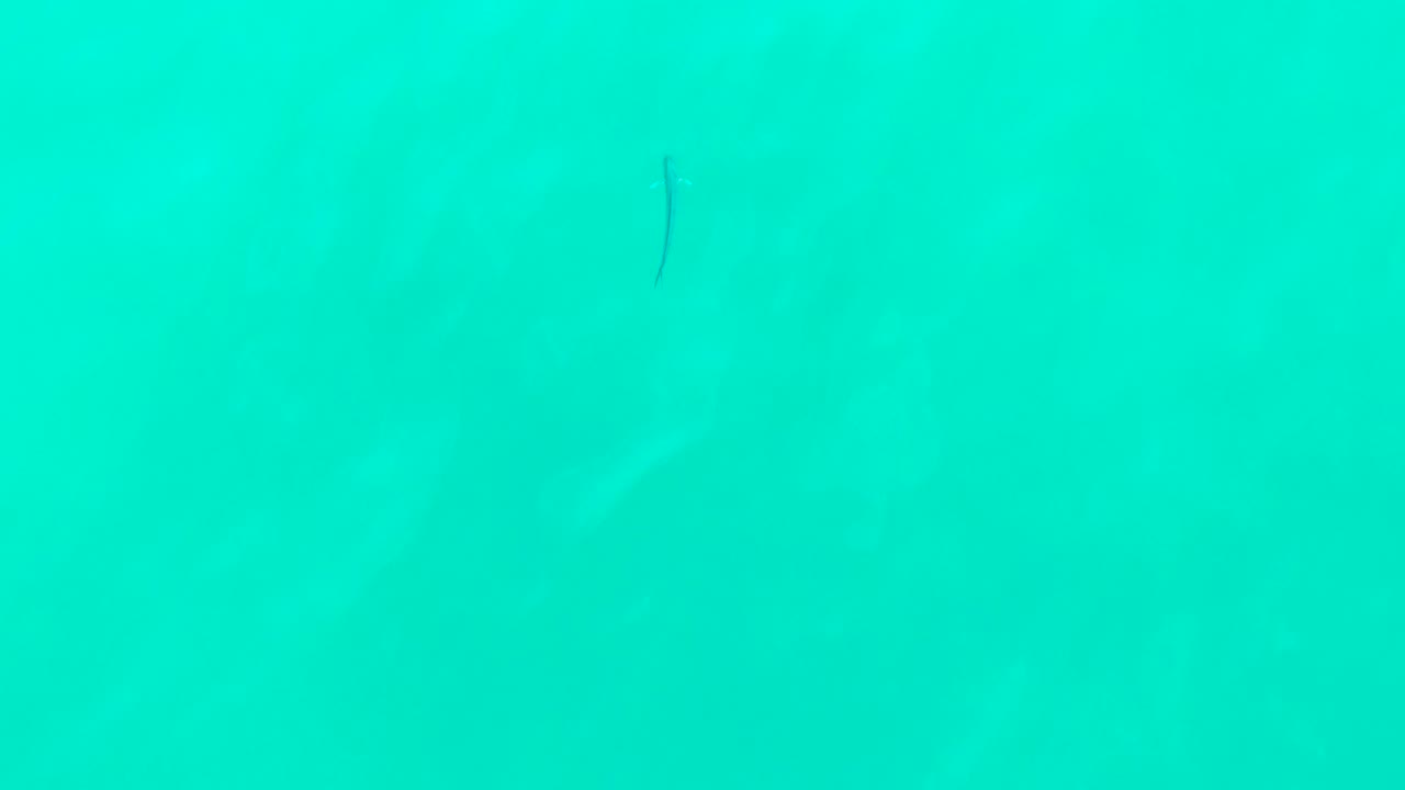 A faint small fish shape sits toward the upper right of the clear blue-green water at Punta Buzzards, Baja California Sur, with no visible people.