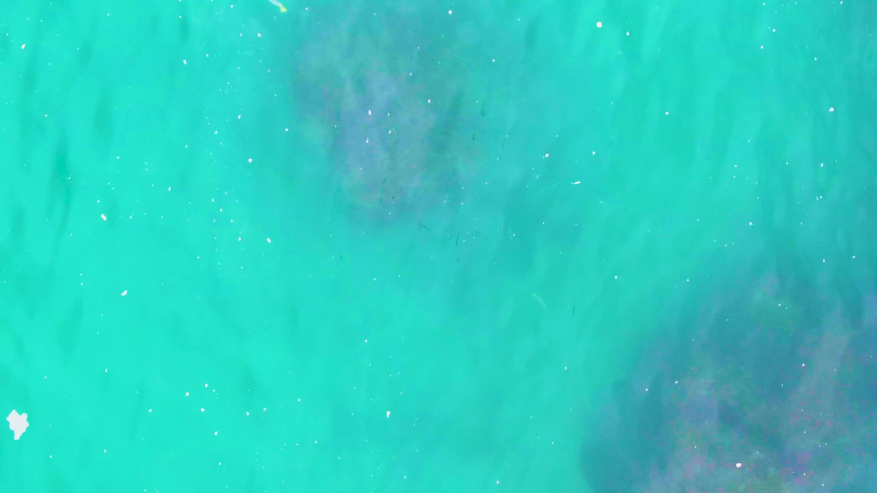 Overhead view of turquoise water at Punta Buzzards with dark submerged coral or rock shapes, scattered white particles, and no visible people.
