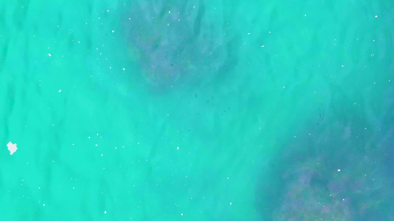 At Punta Buzzards, aqua water covers darker submerged seabed shapes with a small bright white floating mark and no visible people.
