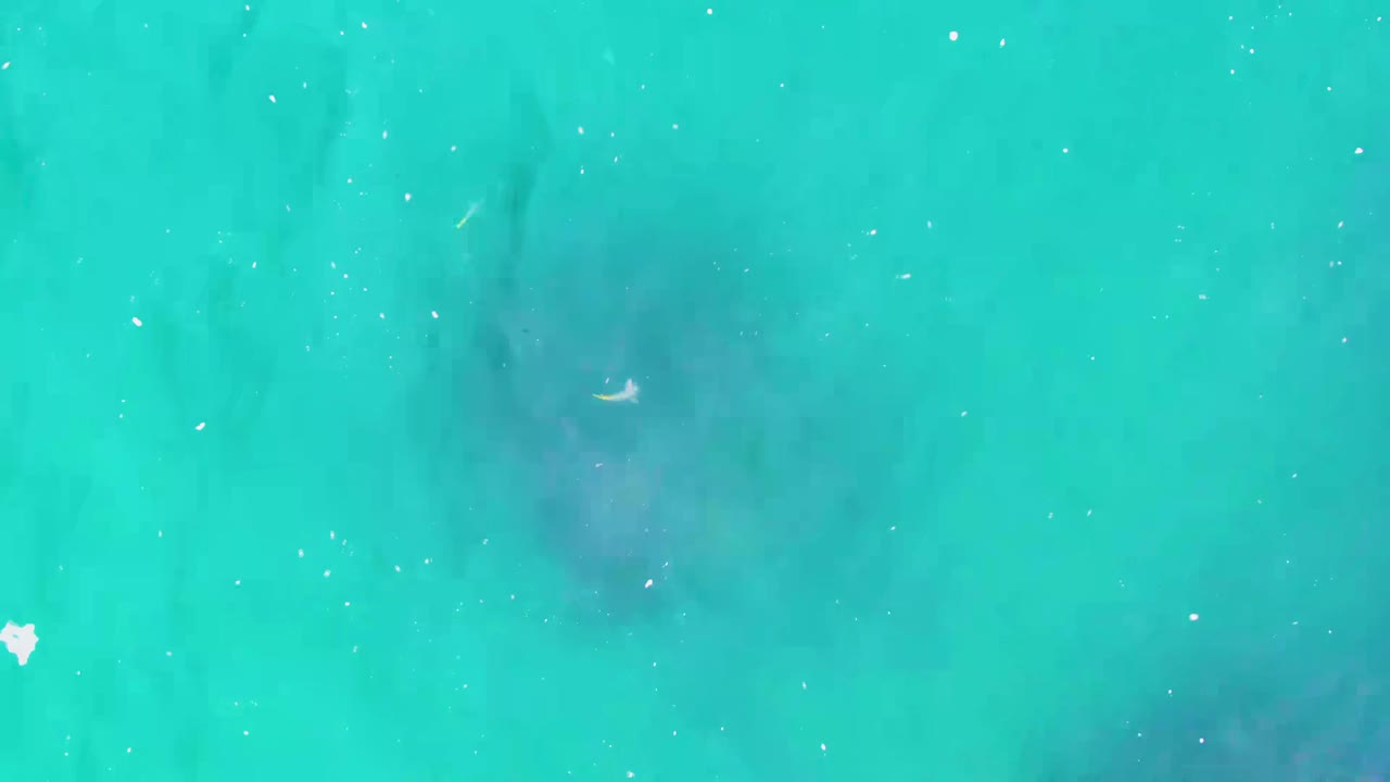Turquoise ocean surface with faint dark underwater shapes.