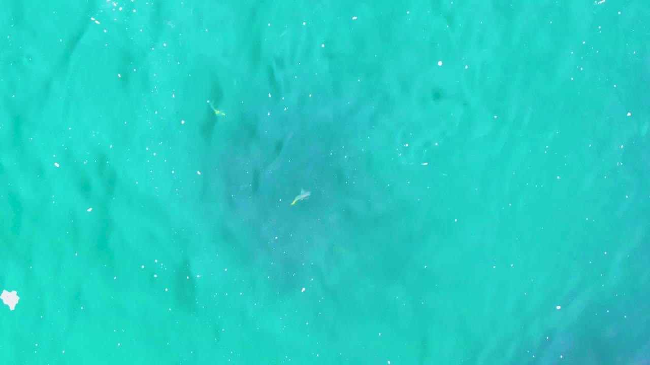 Aerial view of blue-green ocean at Punta Buzzards with a muted dark marine form under the surface and scattered white water reflections, no visible people.