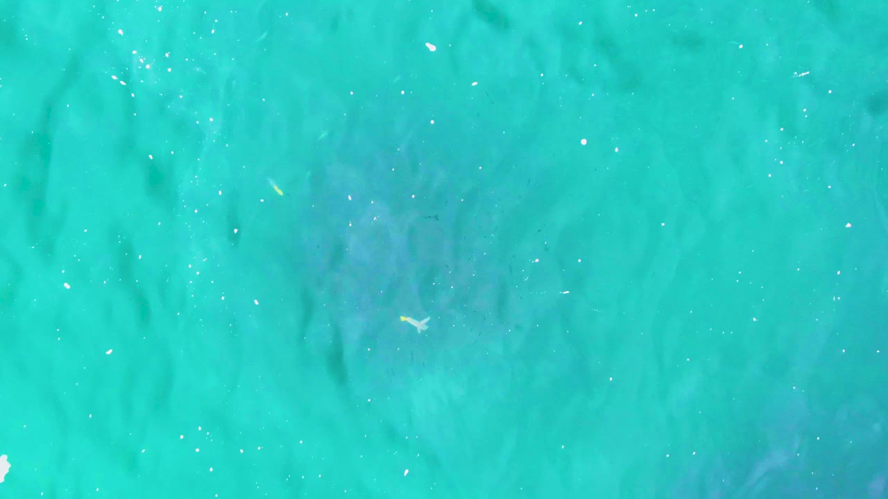 Clear turquoise water over Punta Buzzards with small fish-like marks, pale sun flecks, and a diffuse darker underwater patch, no visible people.