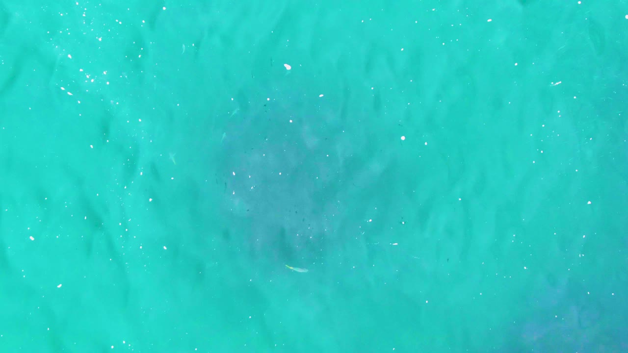 Overhead East Cape ocean water with a soft darker shape shifting beneath the turquoise surface and fine white highlights, no visible people.