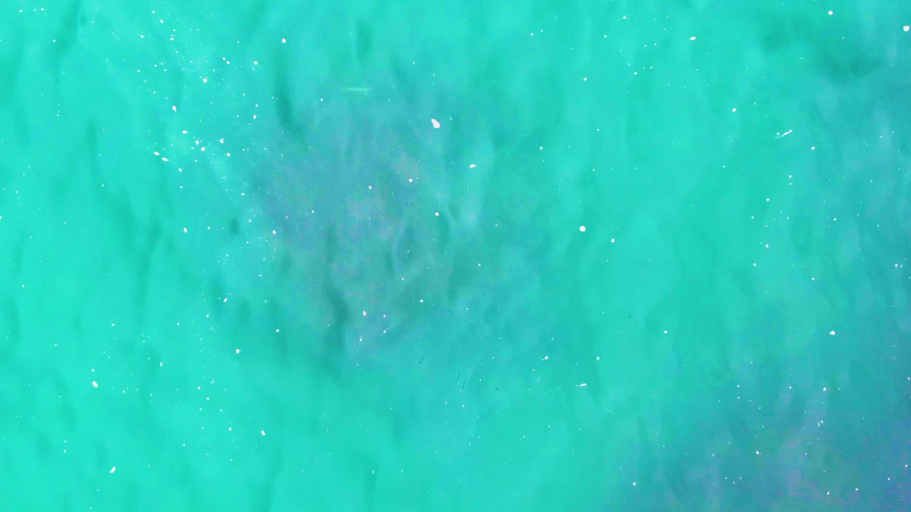 Overhead aqua ocean at Punta Buzzards with dark cloudy forms below the surface spread across the upper water field, white floating particles, and no visible people.