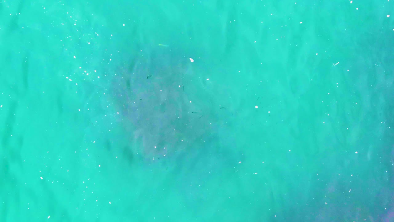 Top-down Punta Buzzards ocean frame with a broad shadowy dark area below the turquoise surface, tiny white surface particles, and no visible people.
