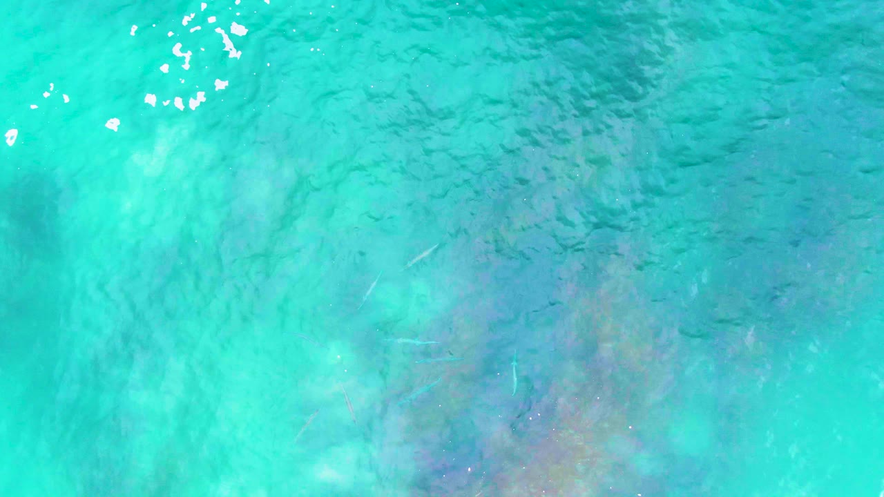 Overhead view of clear turquoise water at Buzzards Beach, Baja California Sur, with bright surface ripples, muted seabed color, and no visible people.