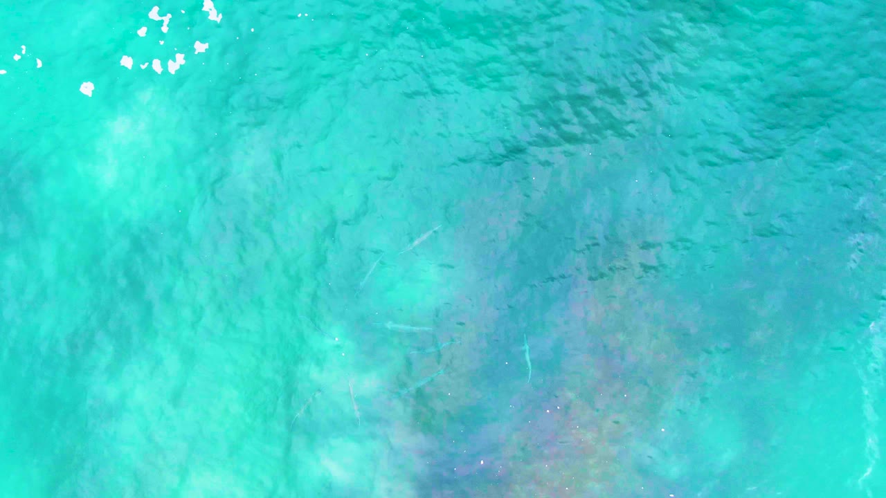 Clear blue-green water at Buzzards Beach shows a broad darker seabed patch under soft ripples, with no horizon, shoreline, boats, or visible people.