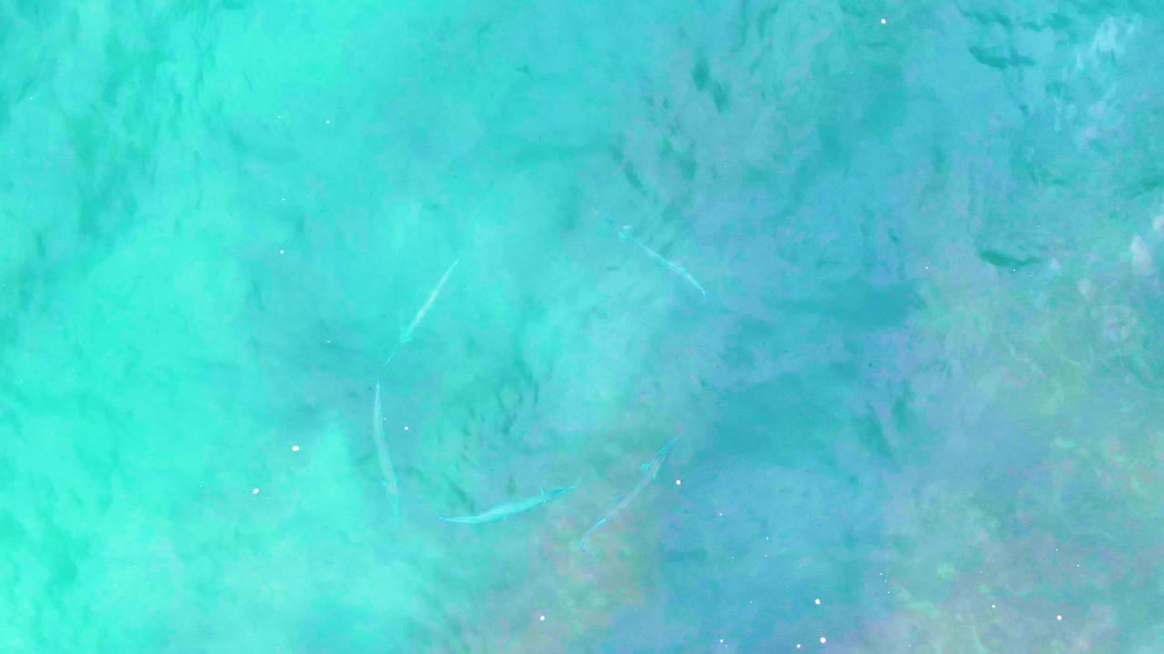 Clear blue-green water at Punta Buzzards, Baja California Sur, with small pale fish marks, soft ripples, darker submerged texture, and no visible people.