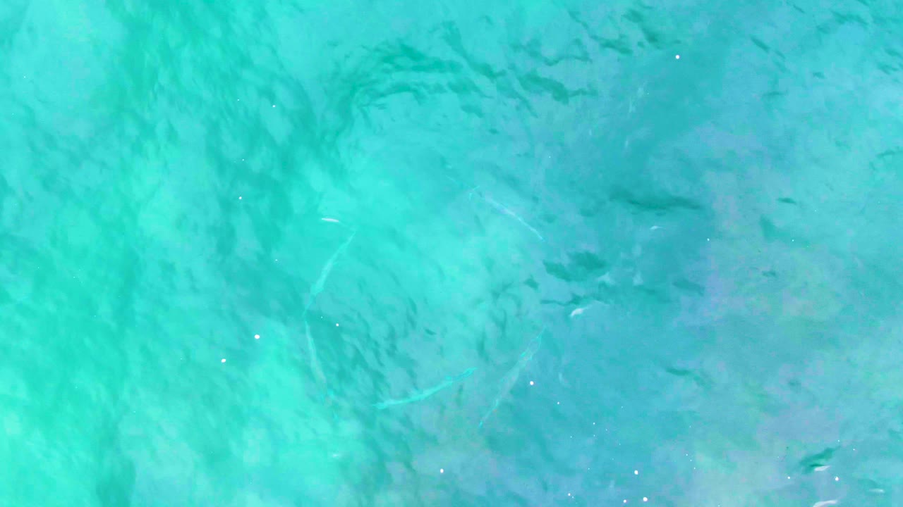 Overhead turquoise water at Punta Buzzards, Baja California Sur, showing scattered small fish, brighter surface highlights, and no visible people.