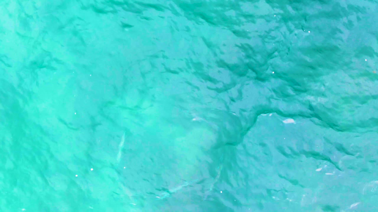 Shallow turquoise water with stronger ripples and faint fish below.