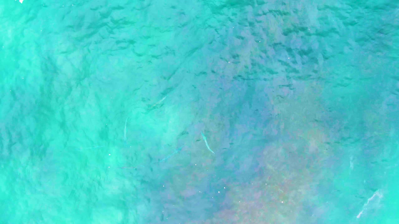 Top-down view of turquoise shallow water at Punta Buzzards, Baja California Sur, with faint fish shapes, visible seabed texture, surface ripples, and no visible people.