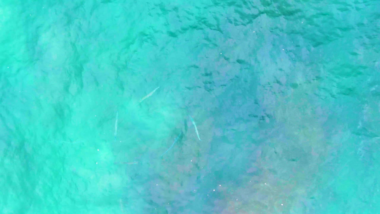 Clear aqua water with ripples and pale fish forms