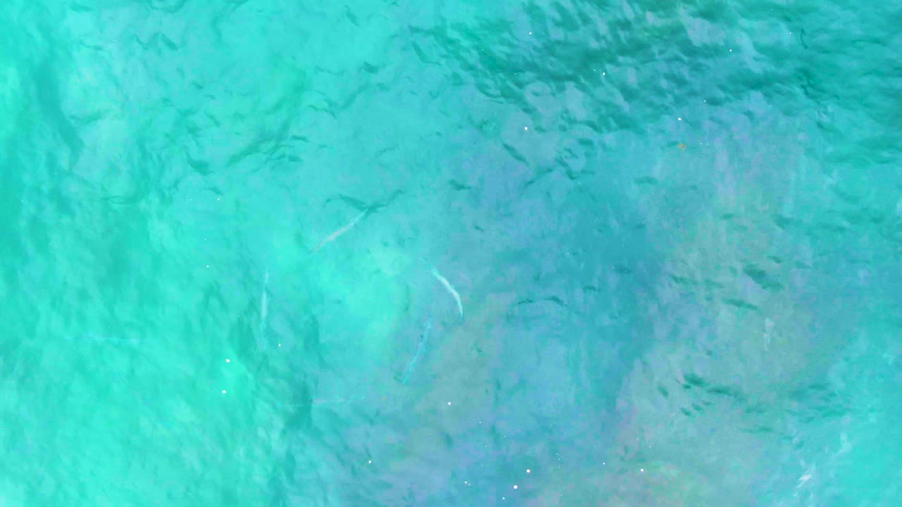 The overhead frame from Punta Buzzards contains turquoise water, darker seabed patches, several faint fish streaks beneath the surface, and no visible people.