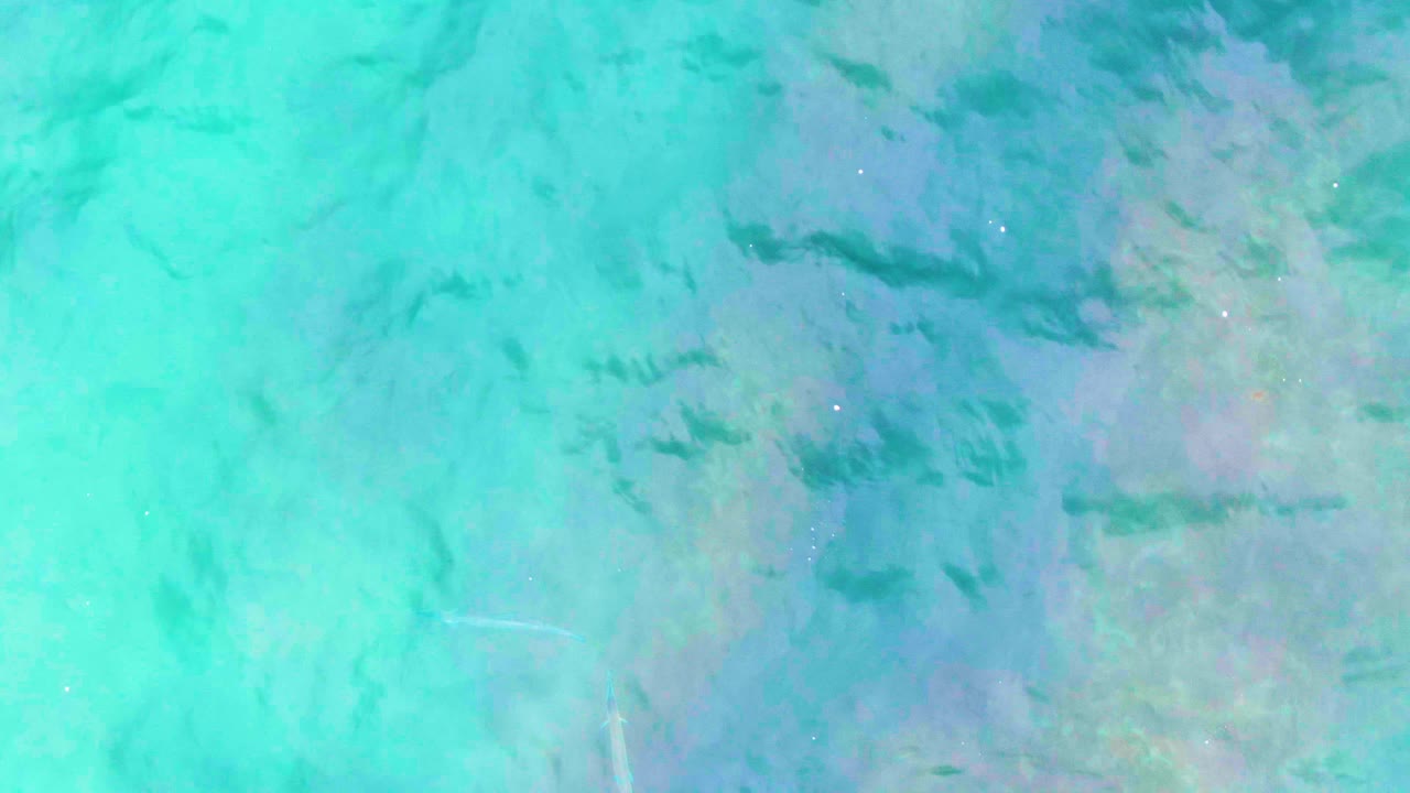 Overhead Punta Buzzards water frame with pale fish streaks crossing blue-green shallows, darker seabed patches, and no visible people.
