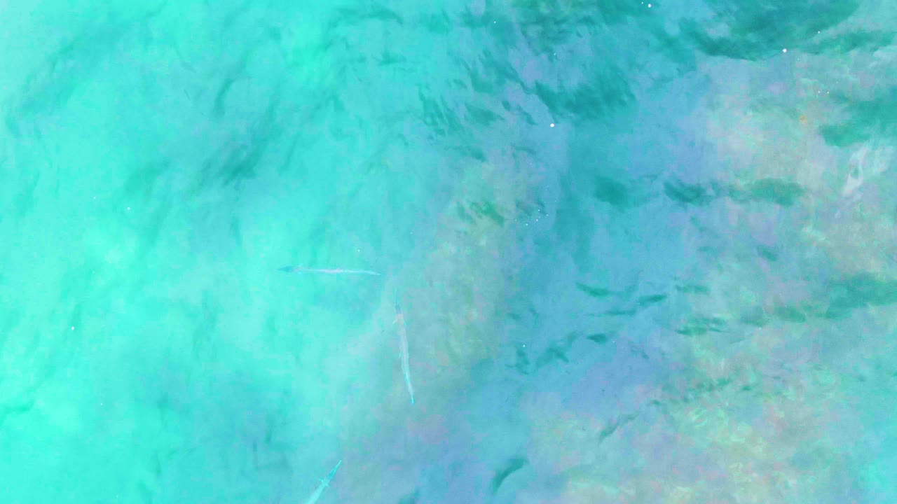 Top-down Baja California Sur water view with faint fish marks, soft seabed detail, and rippled turquoise surface, with no visible people.