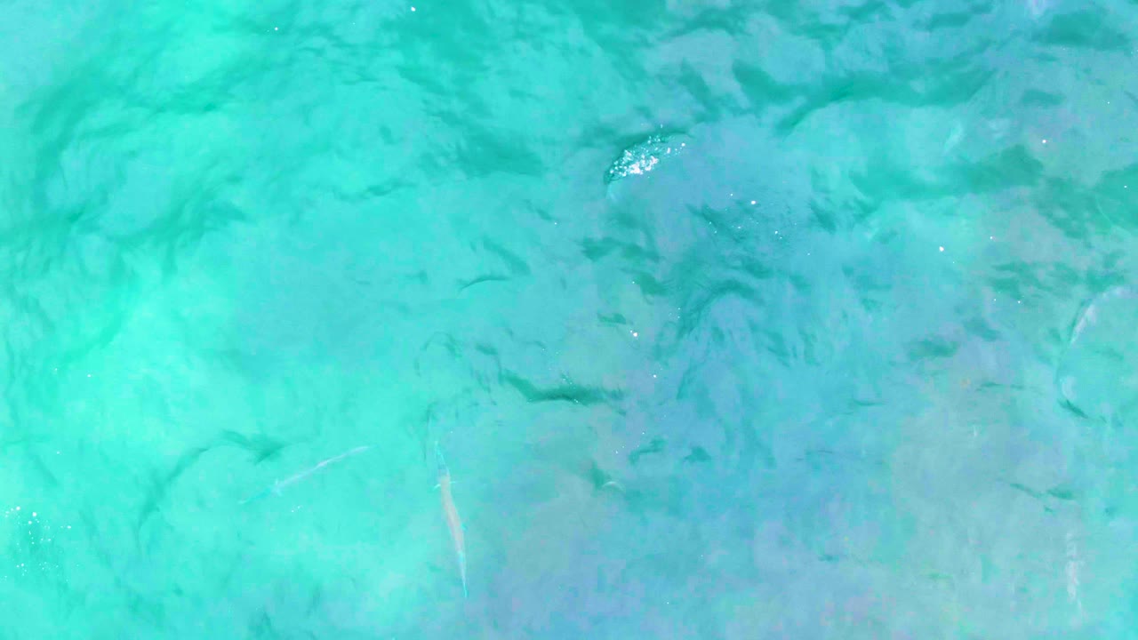 The Punta Buzzards water remains clear and turquoise, with scattered sun glints and muted darker forms below the surface, no visible people.