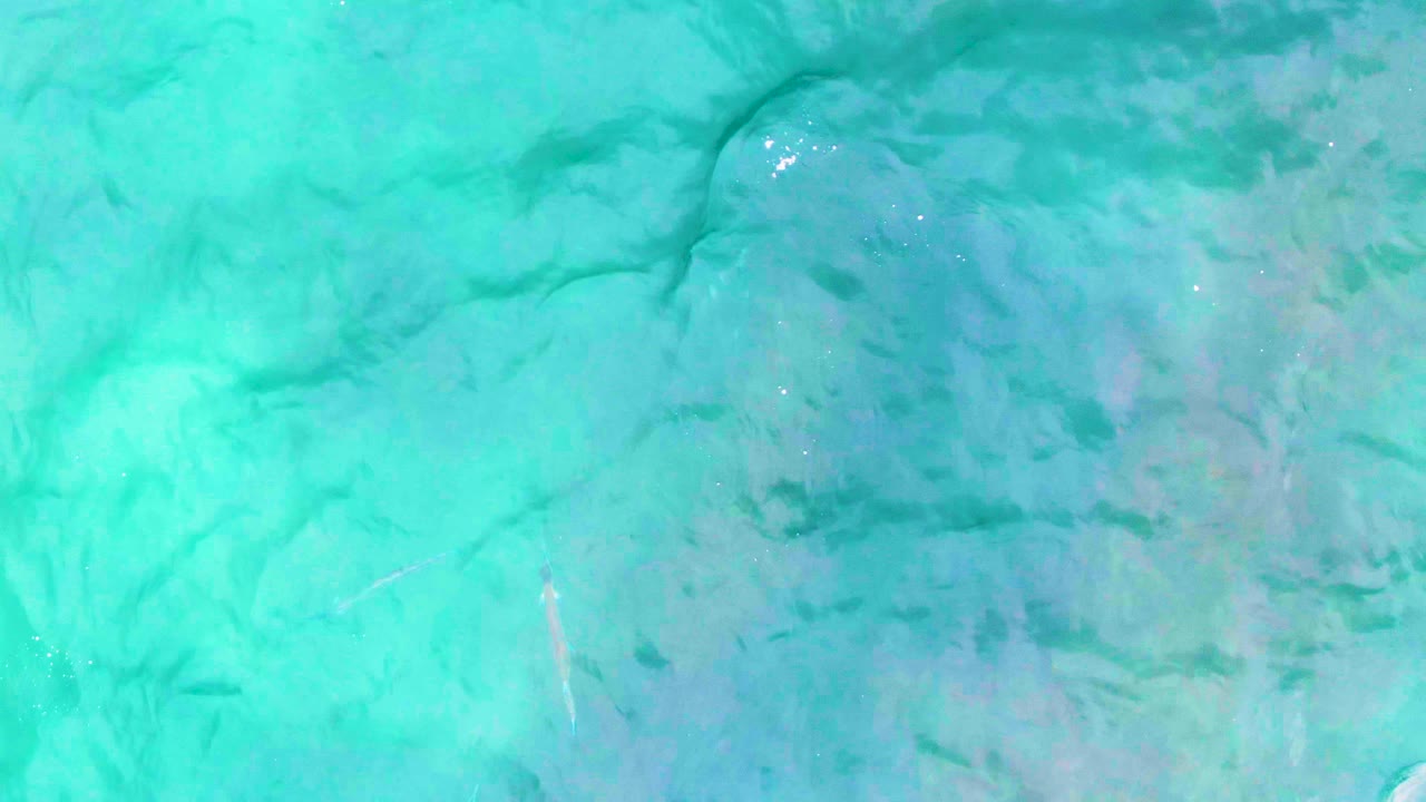 Turquoise ocean at Punta Buzzards fills the lower-left moment of the grid, where ripples run over darker underwater patches and no people are visible.