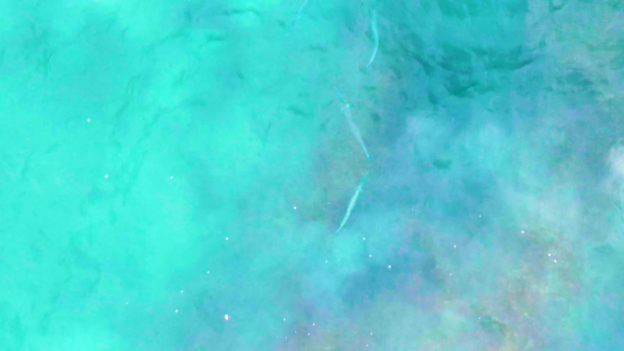 Overhead view of clear turquoise water at Punta Buzzards, Baja California Sur, with faint fish shapes below the rippled surface and no visible people.