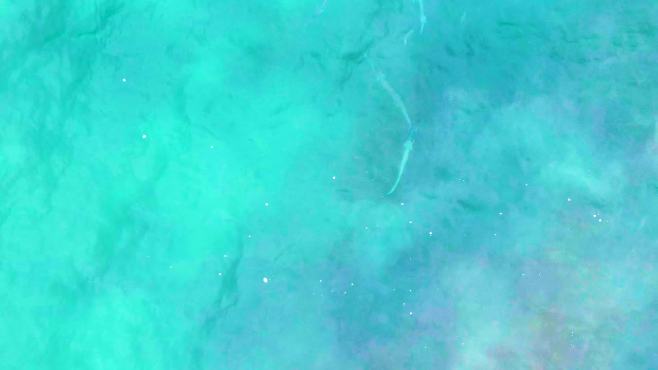 Clear blue-green ocean water fills the frame at Punta Buzzards, with small pale fish traces and darker underwater patches visible through the surface, no visible people.