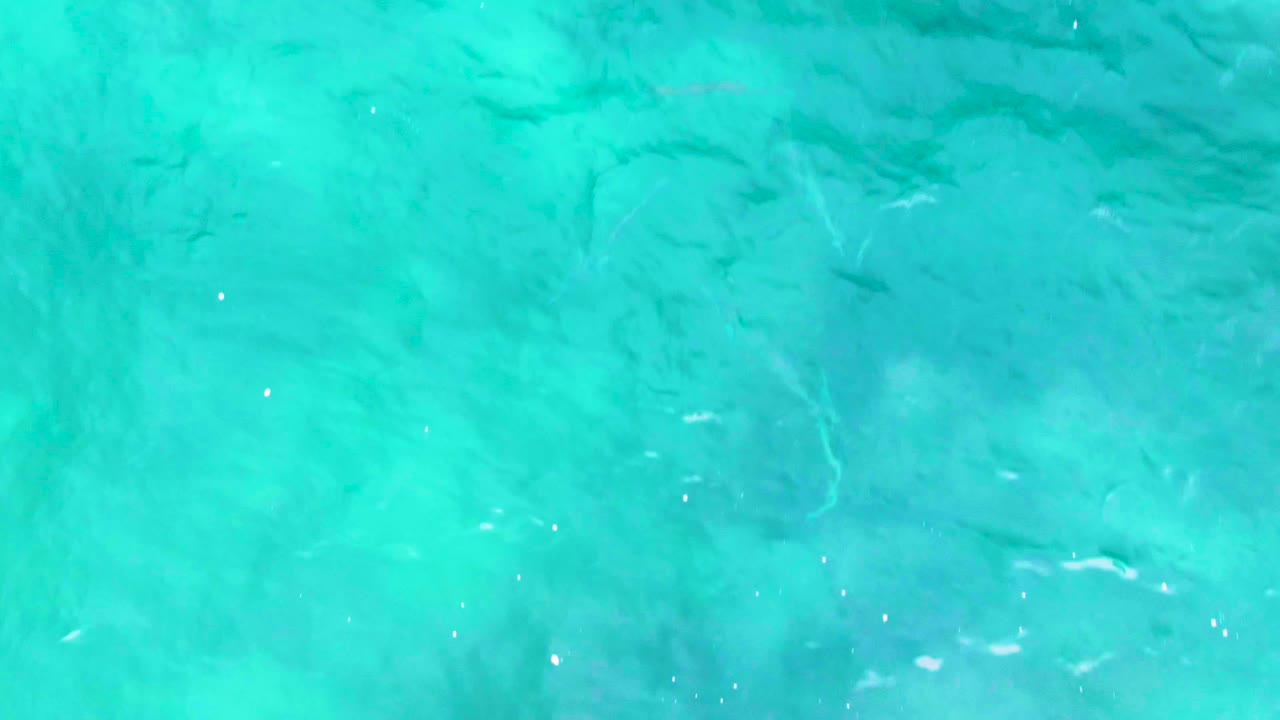 Top-down view of turquoise sea at Punta Buzzards with faint fish forms spread under the water and light ripples crossing the frame, no visible people.