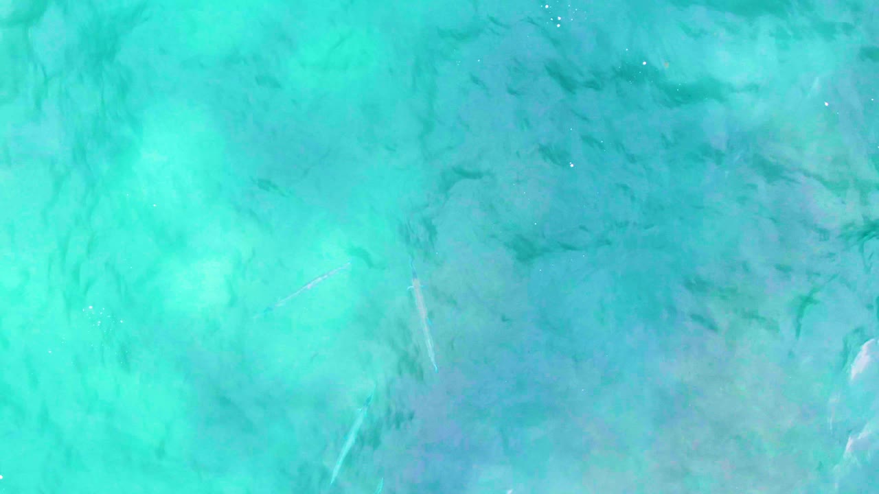 Clear turquoise water at Punta Buzzards, Baja California Sur shows pale seabed patches, darker submerged texture, faint fish shapes, and no visible people at the opening moment.