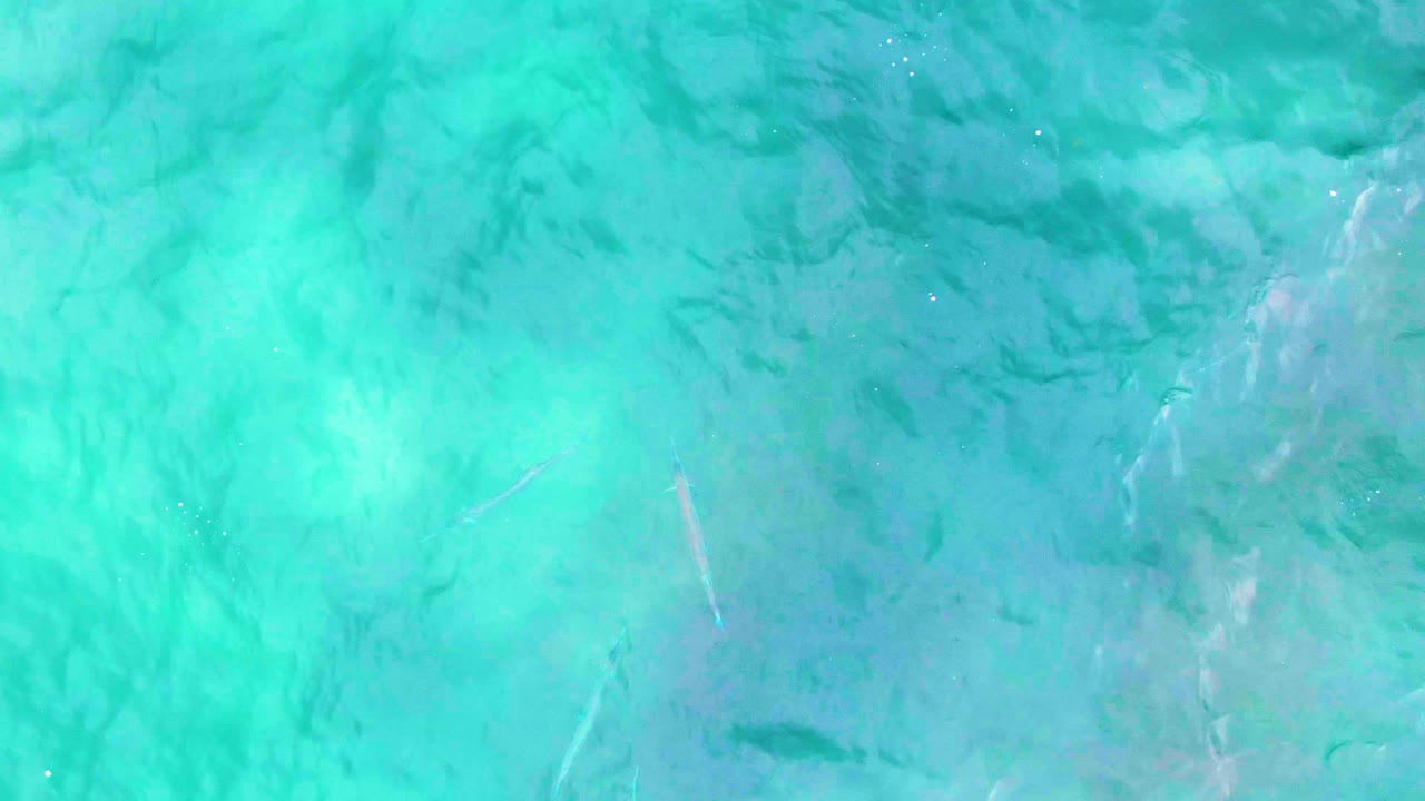 At 0:01, the Punta Buzzards water remains clear enough to see pale seabed areas, darker underwater streaks, small fish forms, and no visible people.