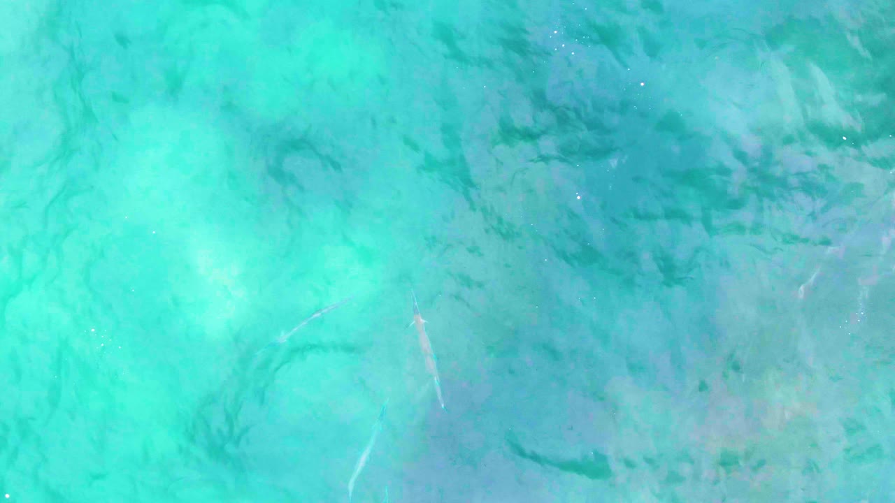 At 0:02, clear turquoise ocean at Punta Buzzards reveals shifting surface ripples, pale sandy patches, faint fish silhouettes, and no visible people.