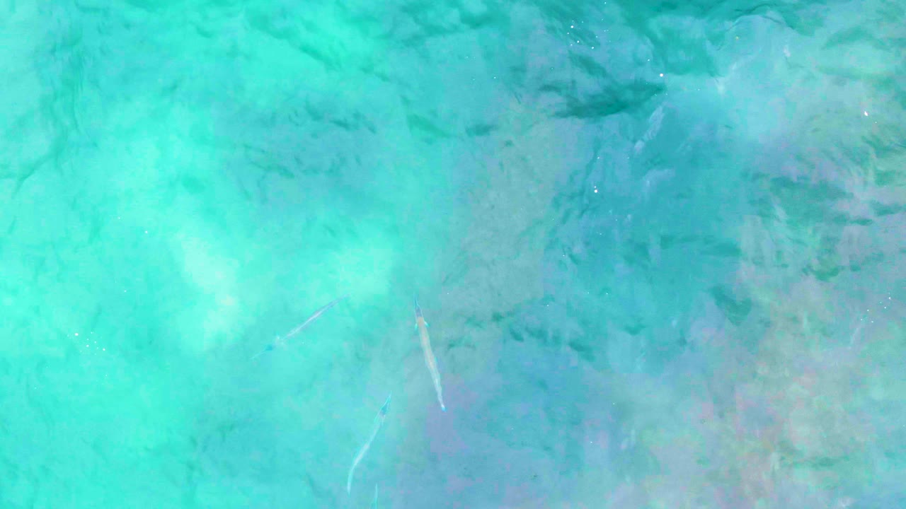 Clear shallow ocean water with darker underwater patches and fish forms.