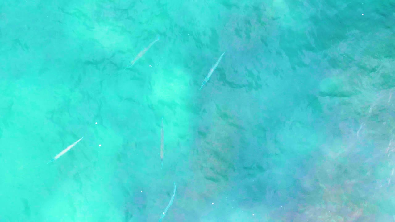 At Punta Buzzards, turquoise water fills the frame with small fish lines visible beneath the surface and darker underwater patches, with no visible people.