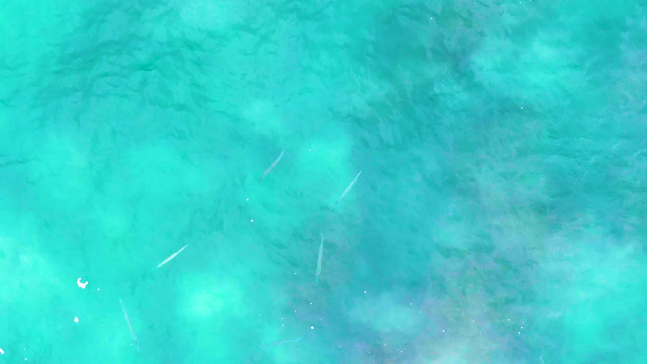 Turquoise ocean water at Punta Buzzards is seen straight down, with pale diagonal fish-like marks, darker submerged shapes, small white surface specks, and no visible people.