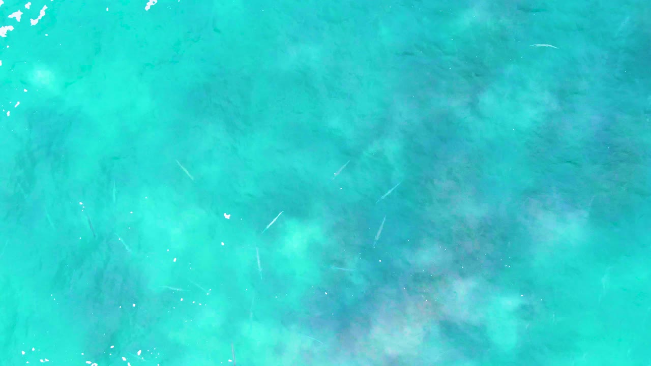 Top-down view of clear turquoise water at Punta Buzzards, Baja California Sur, with pale seabed patches, small white surface flecks, and no visible people.