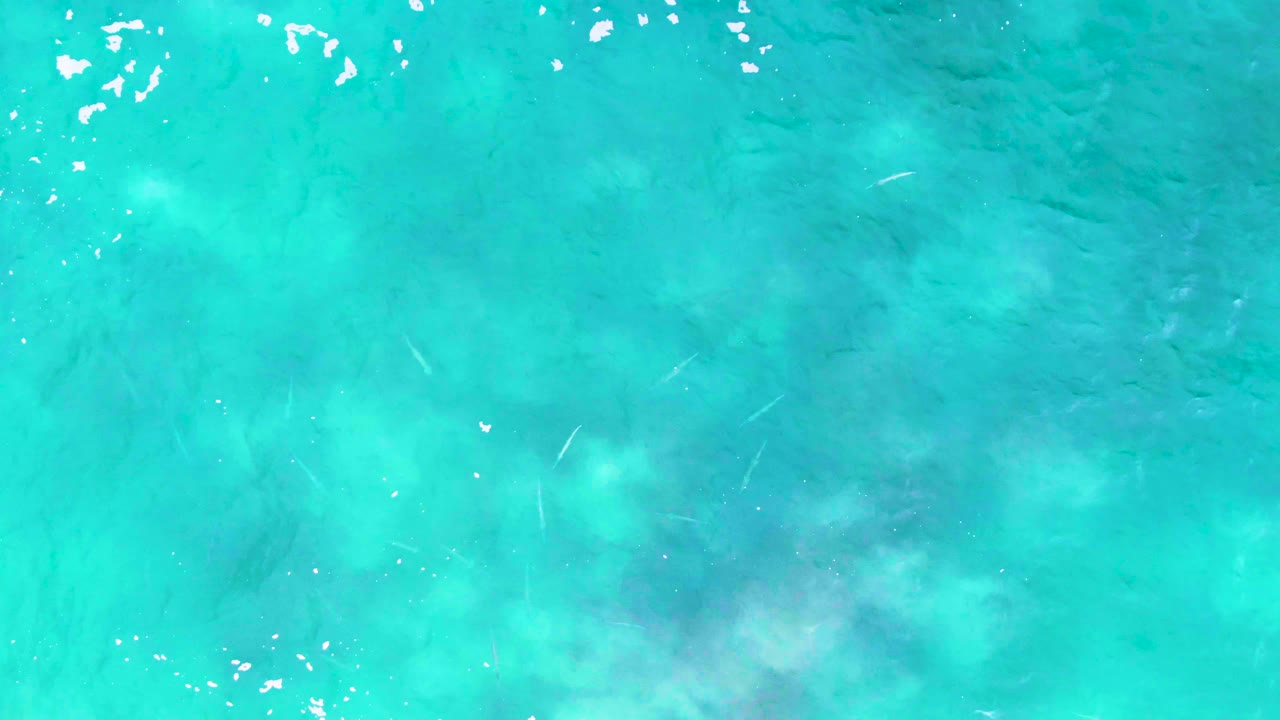 A top-down frame from Punta Buzzards shows blue-green shallow water, white glints on the surface, faint slender fish-like shapes below, and no visible people.